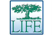 Life Foundation